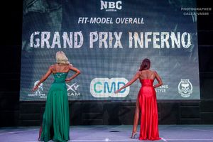 FIT-MODEL OVERALL